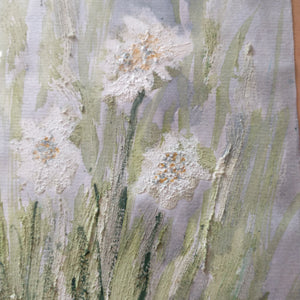 Edelweiss 1