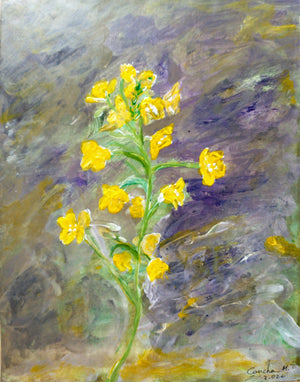 FLOR DE TRÉBOL Y FLOR DE BORRAJA